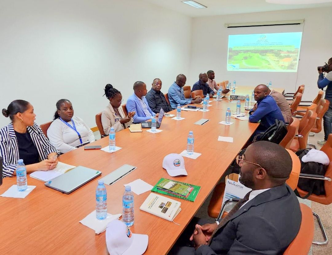 Imagem WhatsApp 2025-10-17 às 12.12.34_550b998e.jpg